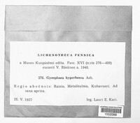 Umbilicaria hyperborea image